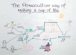 cup-of-tea