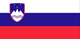 Slovenia - Educational Structure